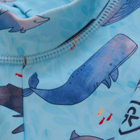 Color Kids- Schwimm Babyanzug L/S AOP