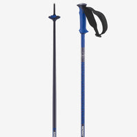 Salomon POLAR PRO - Skistöcke