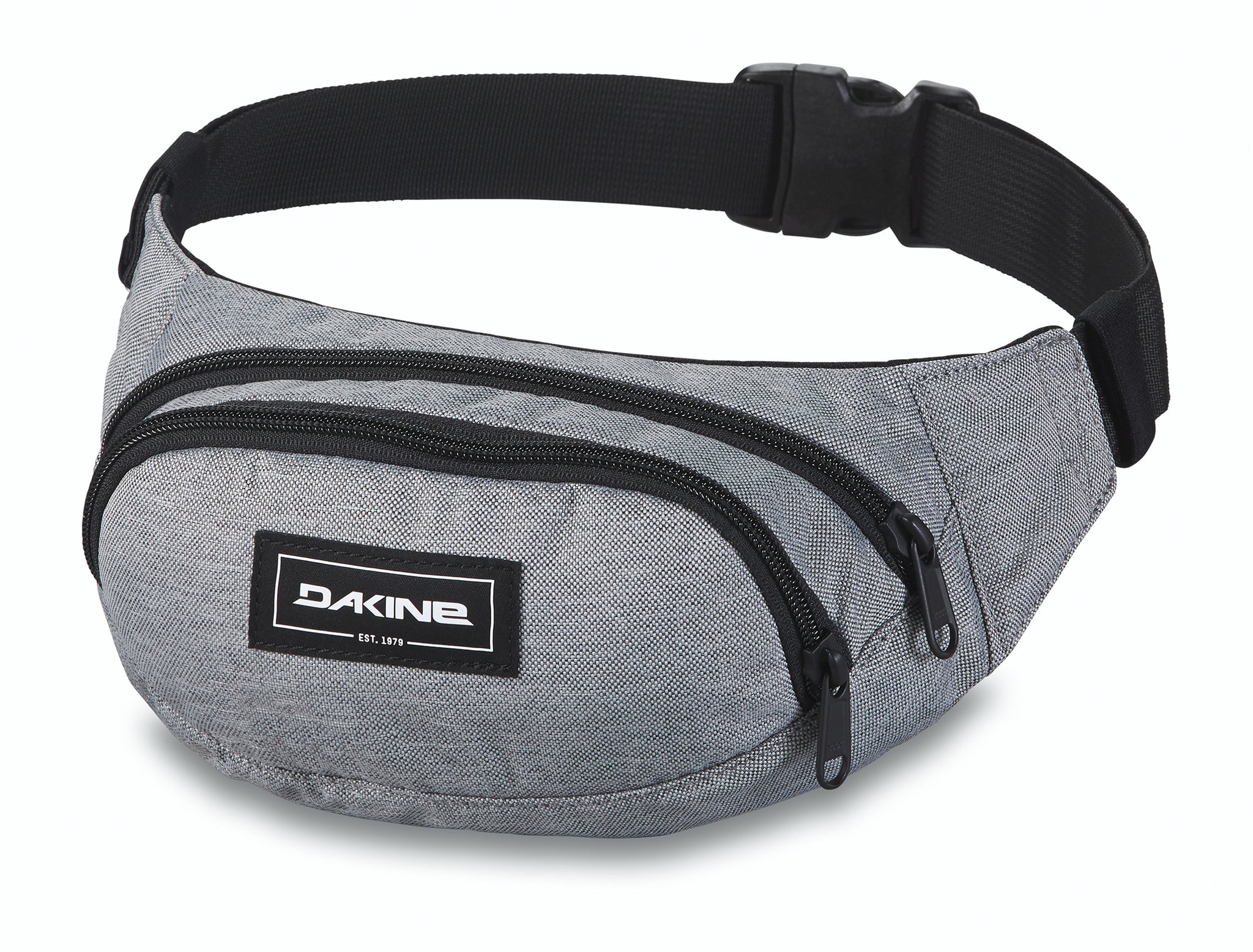 Dakine Hip Pack